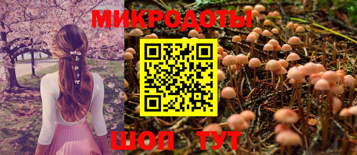 Псилоцибиновые грибы Psilocybine cubensis  Вход с VPN  Петрозаводск 